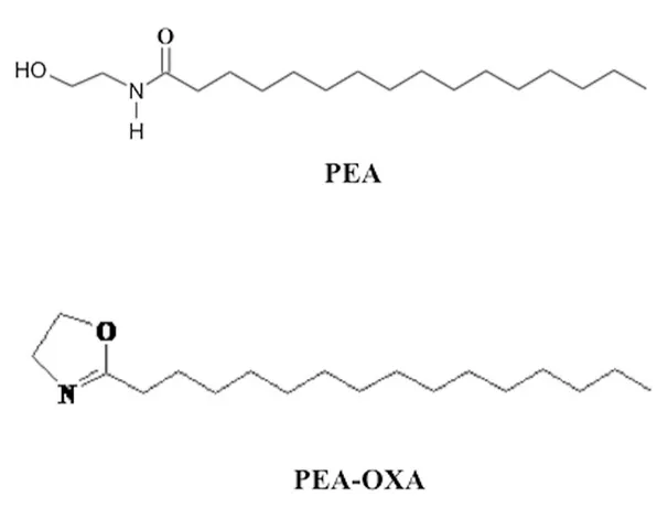 Figure  2.2.2  Structure  of    Palmytohilethanolamide  (PEA)  and  2-pentadecyl-2-oxazoline  of 