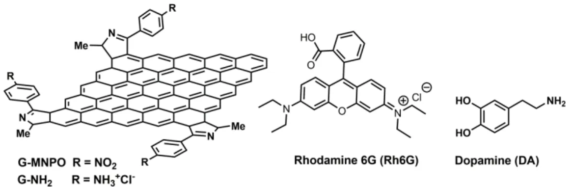 Figure 1. Schematic representation of G-MNPO and G-NH 2 . Chemical structure of Rhodamine 6G 
