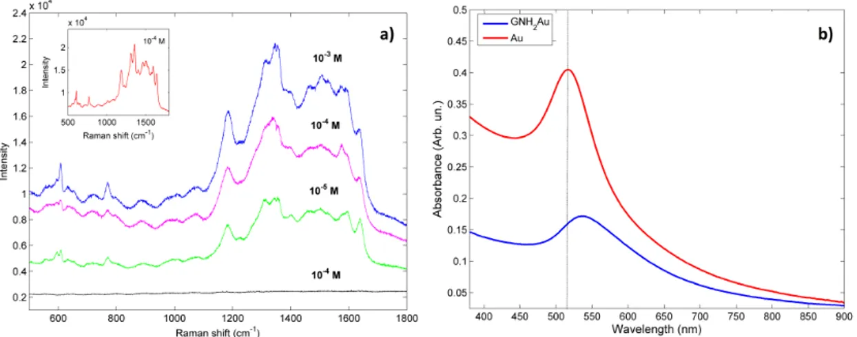 Figure 8. (a) SERS spectra of Rh6G (10 −5 , 10 −4  and 10 −3  M) onto G-NH 2 /Au platform; G-NH 2  platform 