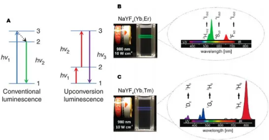 Figure 1.9. ( A) Schematic representation of the conventional luminescence and upconversion  luminescence processes