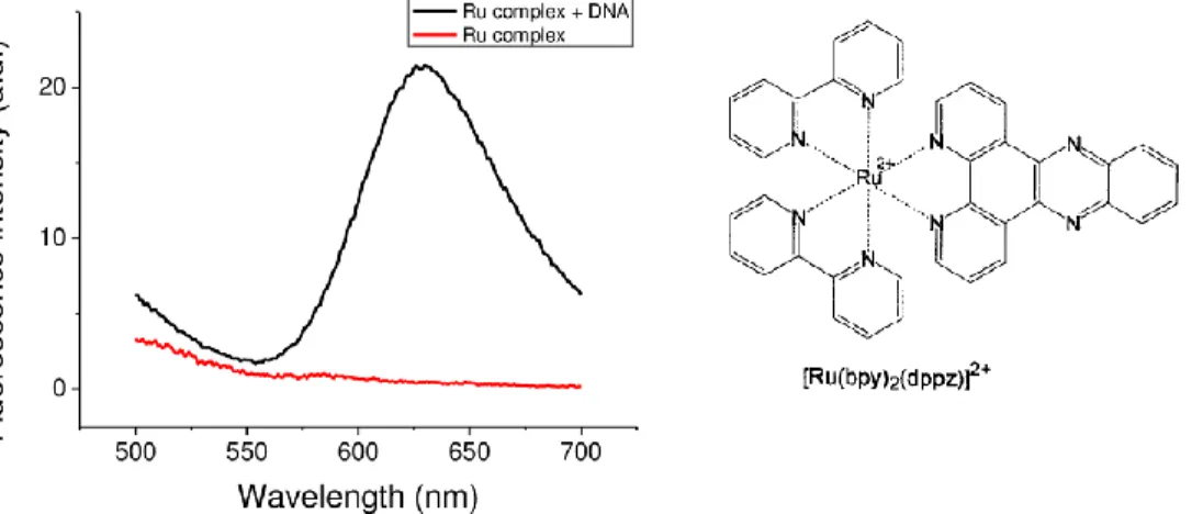 Figure 1.12.  Fluorescence emission spectra of 10 μM Ru(bpy)2(dppz) 2+  in the absence (red  line) and presence (black line) of 10 μM DNA