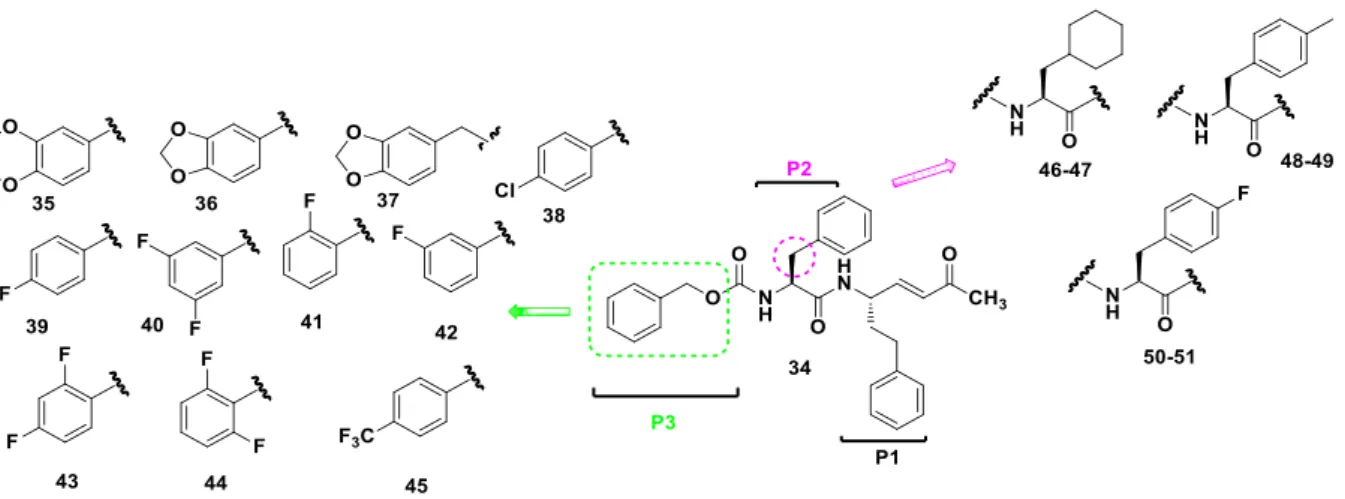 Figure 4. Design of novel rhodesain inhibitors. 