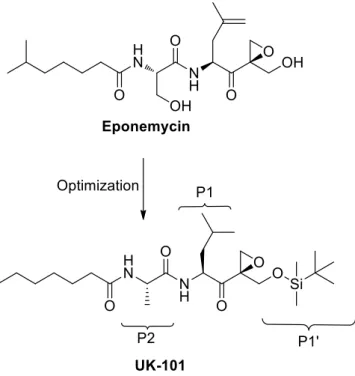 Figure 14. Development of UK-101 from eponemycin.  