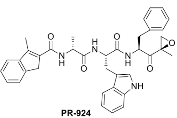 Figure 17. PR 924 structure 