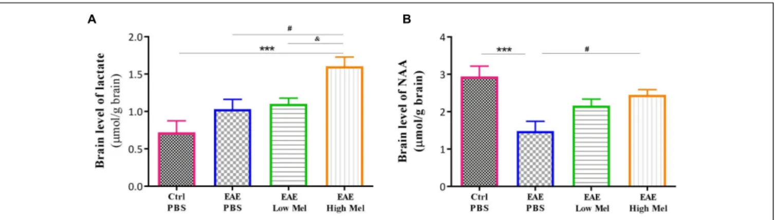 FIGURE 3 | Effects of melatonin on brain lactate and NAA. Levels of brain (A) lactate and (B) N-acetylaspartate (NAA) were measured by HPLC at day 30 post-first immunization