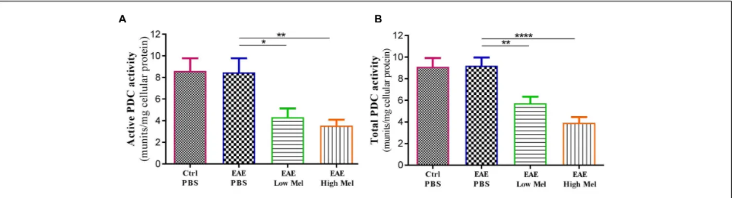 FIGURE 7 | The effects of melatonin on PDC activities in brain homogenates. The change in the activity of PDC enzyme was measured either at the (A) “active” or (B) “total” forms of PDC