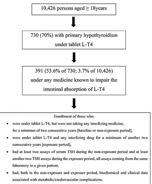 Fig. 1. Flow chart of the study.