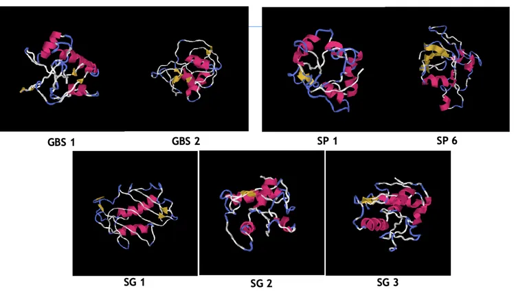 Figure 4 : Bioinformatics description by iTASSER of the folding models of each SSURE; we have 5 alpha helixes shown  in yellow and 4 beta leaflets  shown in red, folded differently for each streptococcal surface repeat domain