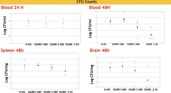 Figure 5 : Measurement of bacterial load and immune responses in mice infected with Streptococcus agalactiae Bm110.comparison of immune  responses between different mice immunised with SSURE_GBS1,SSURE _GBS2, and SSURE_SG2 infected with Streptococcusa agal