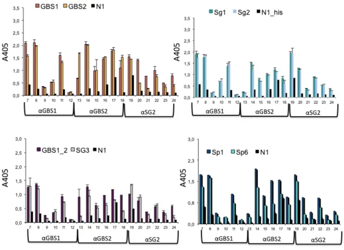 Figure 6: We tested in ELISA tests to verify reactivity against the immunising antigen