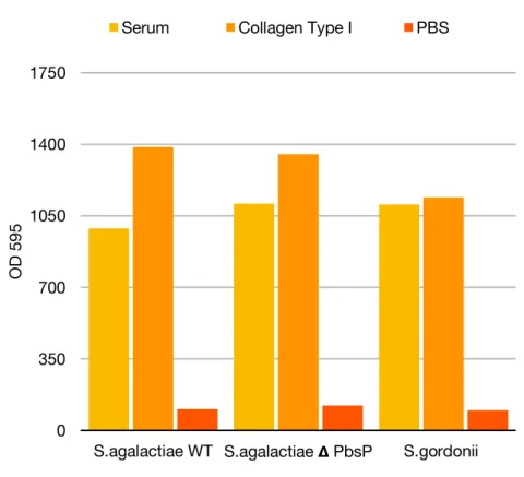 Figure 10: Protective effects of collagen (Yellow bars), serum (orange Bars),  as  compared with unprotected buffer controls PBS (Red bars) on biofilm cells of S