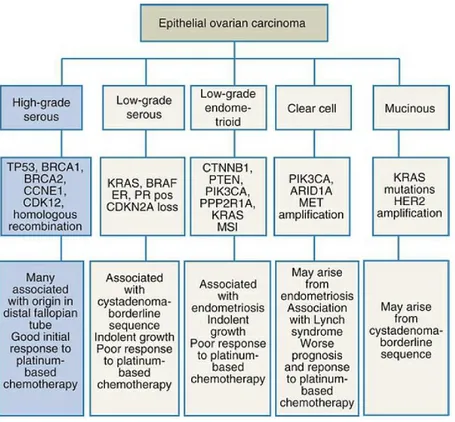 FIG. 1. Ovarian epithelial carcinomas,  relevant genetic alterations and notes on origin