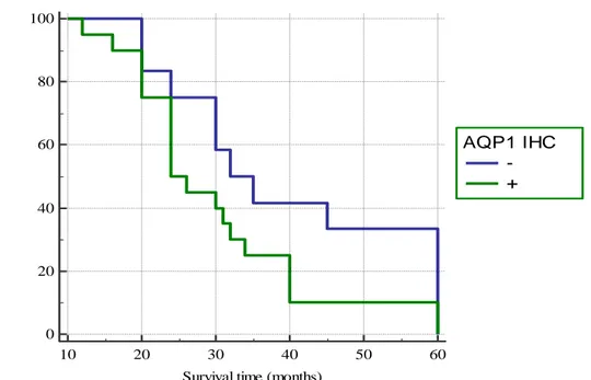 Figure 4. Survival curves of all cases of ovarian high-grade serous carcinomas in relation to  immunohistochemical expression of AQP1