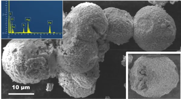 Figure 1 shows a panoramic view of the morphology of Ag@α-Fe 2 O 3  composite sample annealed at 