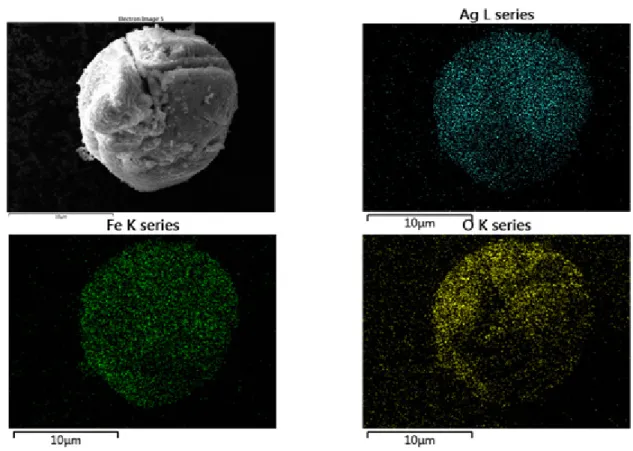 Figure 3. Transmission electron microscopy (TEM) images of: (a) and (b) Ag@α-Fe 2 O 3 