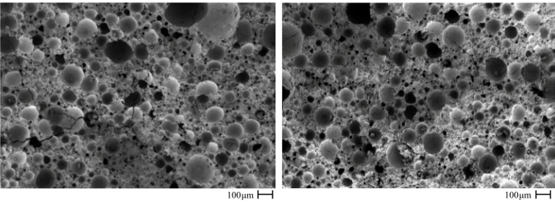 Figure 6. SEM micrographs of a representative portion of air-cured ELWFC specimens with 800 kg/m 3  along the crack surface representing how  the crack pattern develops along the porosities in two different situations