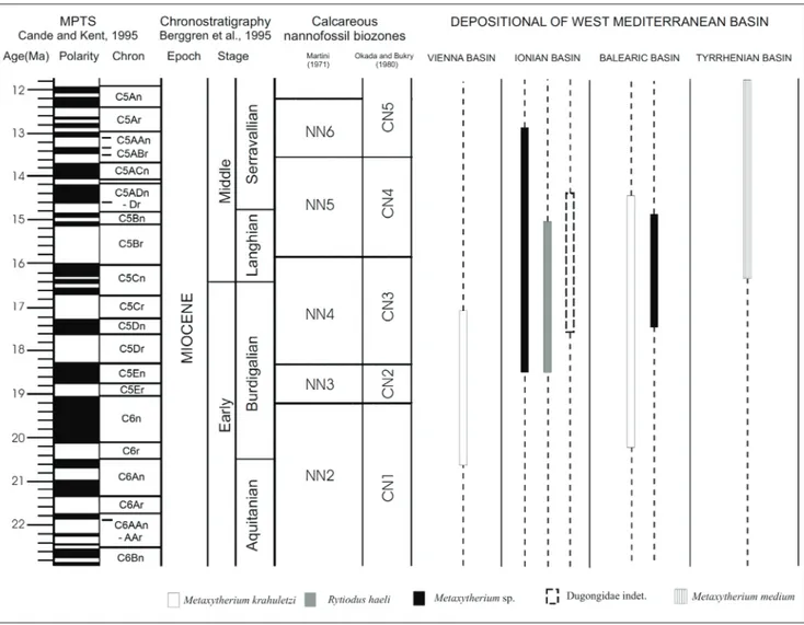 Fig. 3 - Stratigraphic distribution of  Dugongidae spp. occurrences in the western Mediterranean basins
