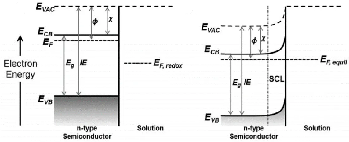 Figure 3.18 Band bending for n-type semiconductor after contact with the electrolyte. Reproduced with  permission from ref