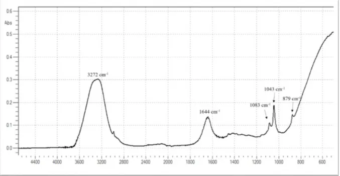 Figura 6.1. Spettro ATR-FTIR di un campione di vino Marsala. 