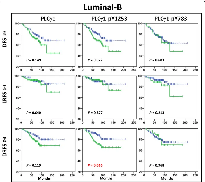Fig. 3 Kaplan-Meier plots in Luminal-B subtype. Kaplan-Meier estimates of DFS, LRFS and DRFS in patients with Luminal-B tumours (n = 176), according to high (solid green lines) and low (dashed blue lines) expression of PLC γ1, PLCγ1-pY1253 and PLCγ1-pY783