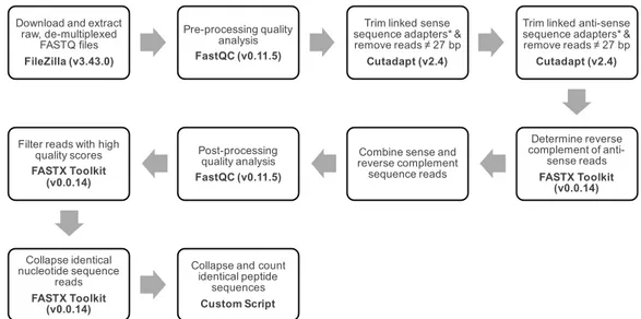 Figure 2. gp8-Targeted next-generation sequencing bioinformatics workflow. Schematic for identification of displayed peptide sequences from landscape (type-8) phage libraries via next-generation sequencing