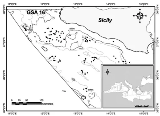 Figure 2. Map of the sampling area (GSA 16, South of Sicily). Haul positions are indicated in grey circles 580 