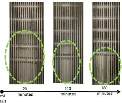 Fig. 3.24 Pictures of the PCM undergoing melting after 20 minutes, 110 minutes and 180 minutes from the beginning of the test.