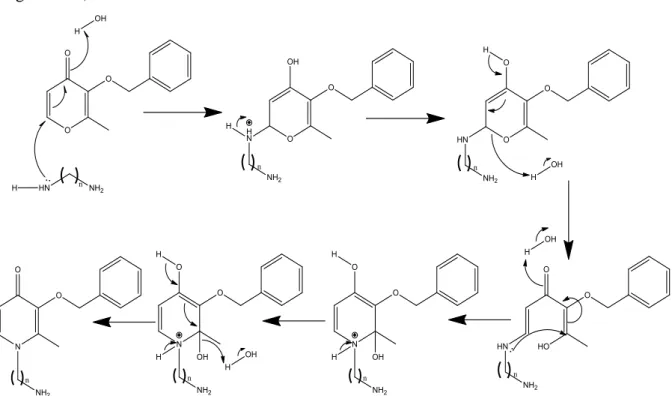 Figure  2.16.  Mechanism  of  synthesis  of  protected  3,4-hydroxypyridinones  from  protected  maltol