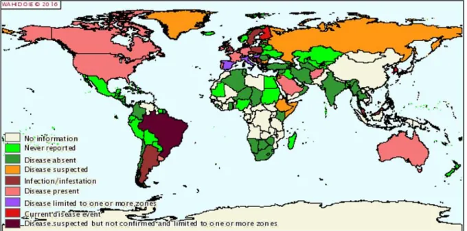 Figura 1  - Distribuzione della Febbre Q provocata da Coxiella burnetii nel periodo  tra luglio e dicembre 2015 nel mondo (WAHIS Interface, O.I.E