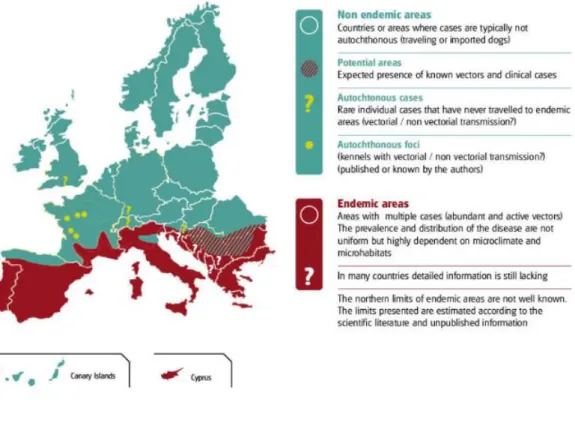 Figura 4 -  Distribuzione dell’infezione canina da Leishmania infantum in Europa -  LeishVet Guidelines (Solano-Gallego et al., 2011)