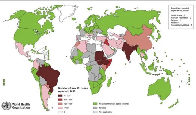 Figura 5 -  Distribuzione della leishmaniosi viscerale umana negli paesi endemici nel  mondo nel 2013 (WHO)
