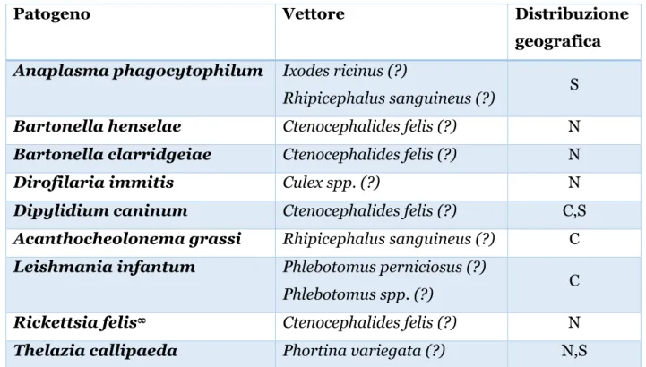 Tabella 1  – Patogeni trasmessi da vettore riconosciuti nel gatto sul territorio italiano  (Otranto and Dantas-Torres, 2010)