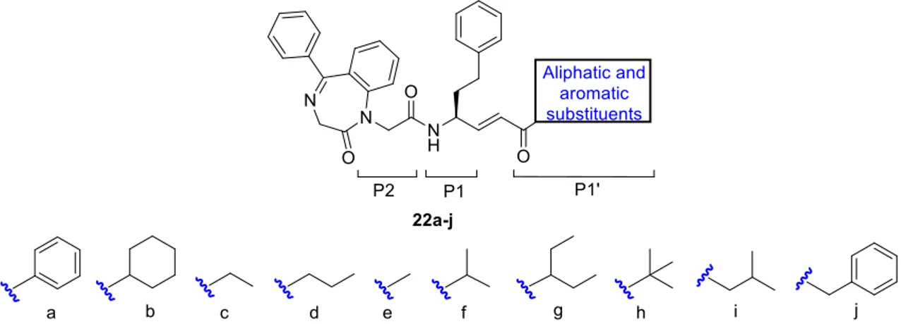 Figure 8. Design of BDZ derivatives bearing several substituents at the P1’ site.  