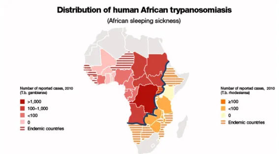 Figure 9. The annual country reports of HAT distribution, carried out by WHO.  2.2 The parasite 