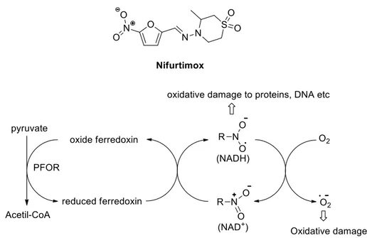 Figure 19. Chemical structure of nifurtimox and its mechanism of action. 
