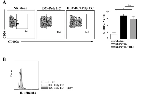 Figure  7.  NK  cells,  following  HBV-DC  stimulation,  display  considerable  cytotoxicity  towards Hepatocellular carcinoma cell line 