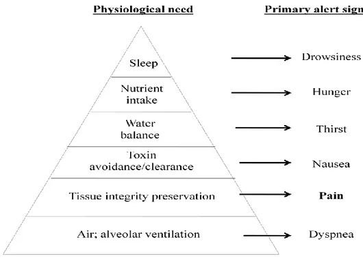 Figure 1. Sub-hierarchy of physiological needs according to Maslow‟s hierarchy of needs and 