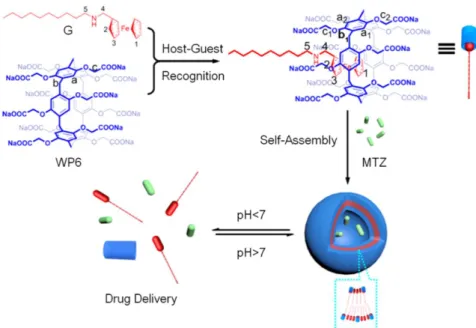 Figure 1.2.3.3. Formation of a supramolecular vesicle and its pH-responsive drug 