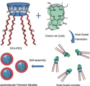 Figure 2.2.2. Representation of supramolecular polymeric micelles based on host–guest 