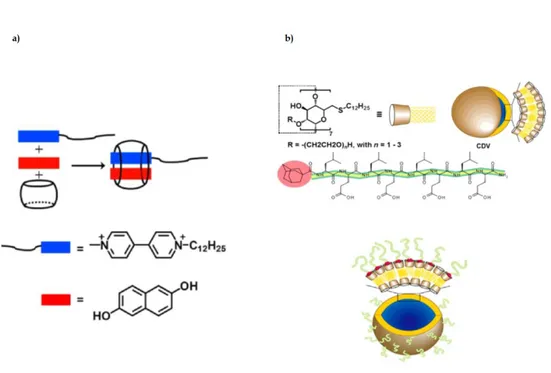 Figure 3.1.3. a) Single-chain head-to-tail supra-amphiphiles; b) Schematic illustration of 