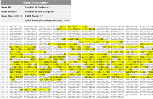 Figure 2: RPGR Exon ORF15 QGRS distribution by QGRS mapper. This figure represents the whole analyzed fragment, with 