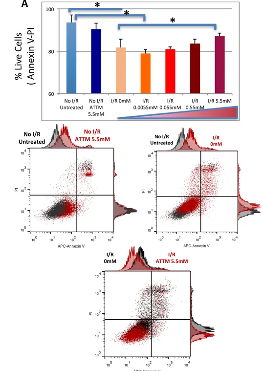 Figure	 1:	 A)	 QuanEtaEve	 data	 expressing	 percentage	 of	 Live	 Cells	 (Annexin	 V	 negaEve,	 PI	 negaEve)	 following	 simulated	 I/R	 injury	 measured	by	ﬂow	cytometry	as	indicated.	Data	presented	as	average	 ±	SD;*p&lt;0.05