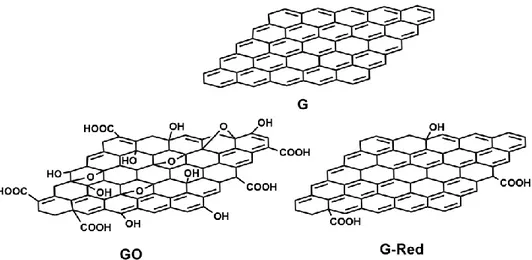 Figure 1.3 Graphene (G), Graphene Oxide (GO) and Reduced Graphene (G-Red). 