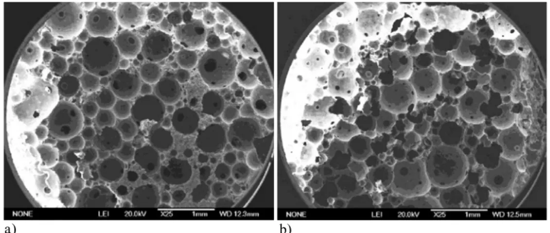 Figura 3.10 Microscopie elettroniche della distribuzione dei vuoti di calcestruzzi schiumati caratterizzati da: 