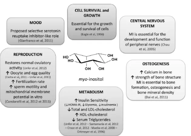 Figure  6.  Functions  and  implications  of  myo-inositol  in  human  health.  Adapted  from:  Croze  ML,  Soulage  CO