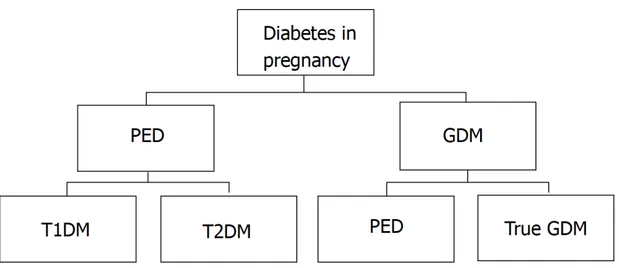 Figure  1.  Classification  of  diabetes  in  pregnancy.  GDM:  Gestational  diabetes  mellitus;  PED:  Pre-existing  diabetes;  T1DM:  Type  1  diabetes  mellitus;  T2DM:  Type  2  diabetes  mellitus