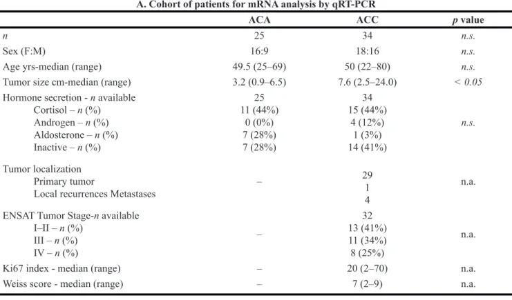 Table 1: Clinical and pathological characteristics of both cohorts of patients for (A) mRNA and  (B) protein analysis