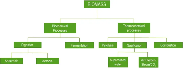 Figure 1. 2 Biomass conversion technologies