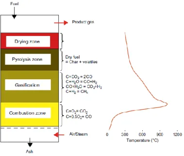 Figure 1. 4 Schematic of gasification steps and temperature profile in updraft reactor [1.7]