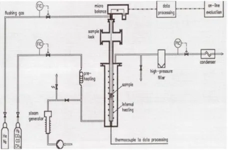 Figure 2. 2 Thermogravimetric apparatus used for the kinetic study of steam-char reactions